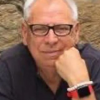 Paul van Schaik